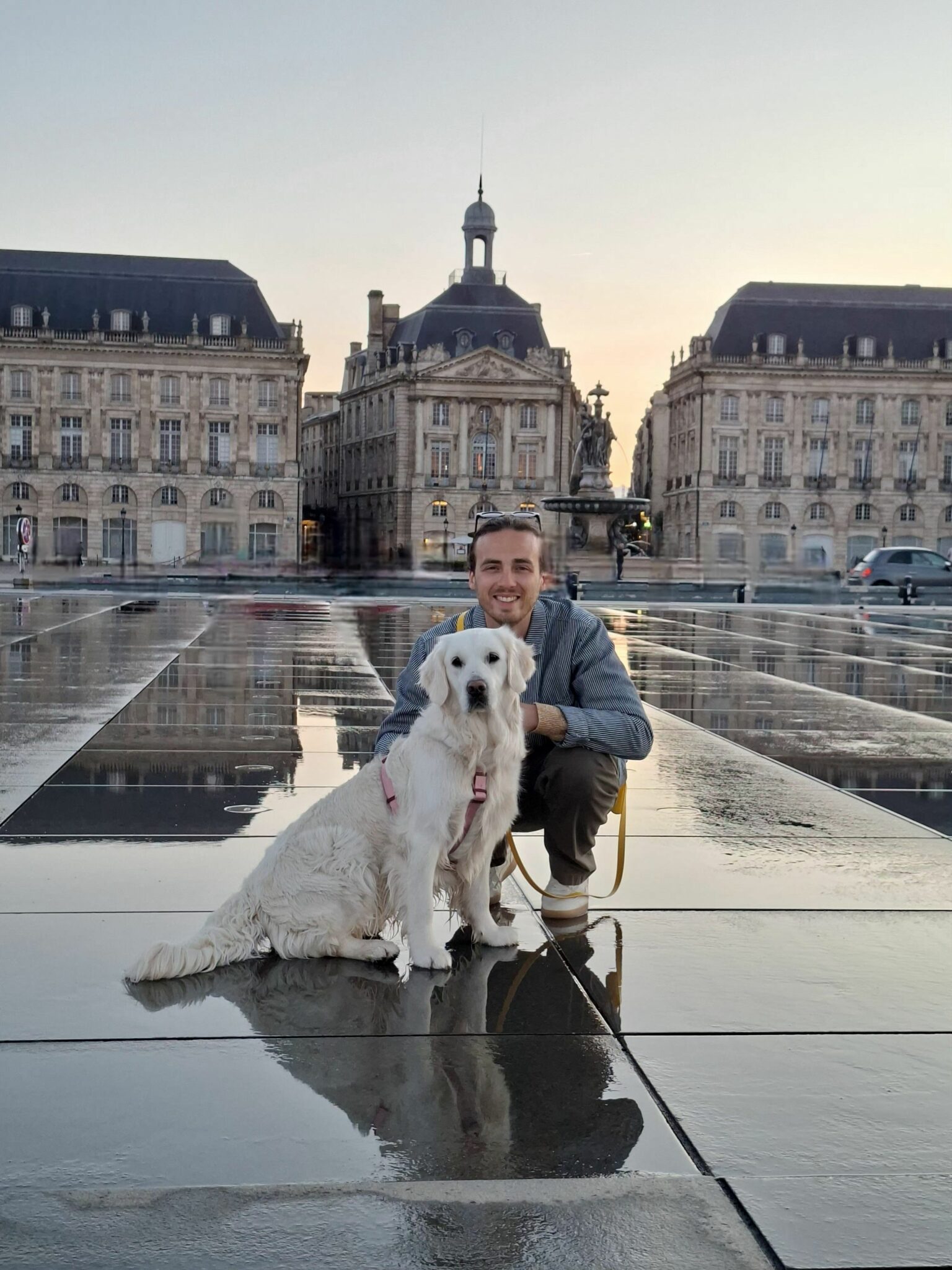 Psychologue Rouen Maxime Leprince. Thérapie avec ma chienne Violette